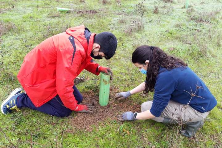 Mediterranean Species Farm Tour