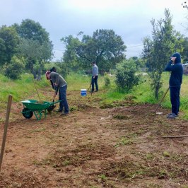Mediterranean Species Farm Tour