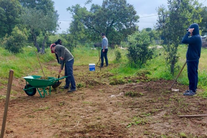 Mediterranean Species Farm Tour