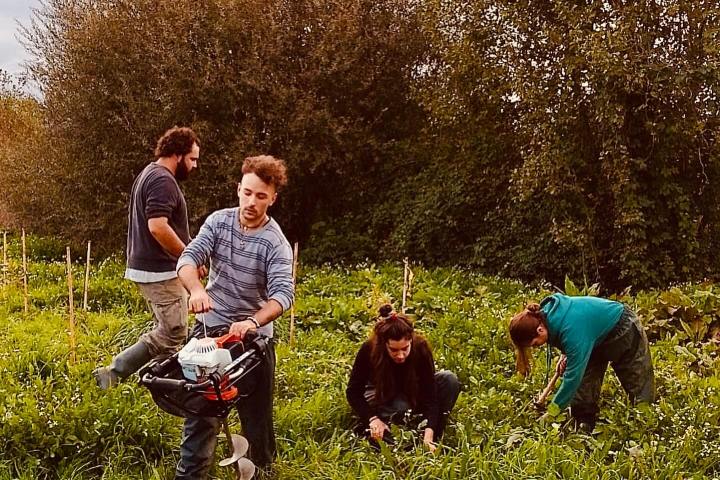 Mediterranean Species Farm Tour