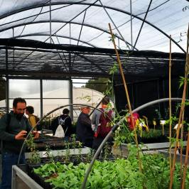 Mediterranean Species Farm Tour