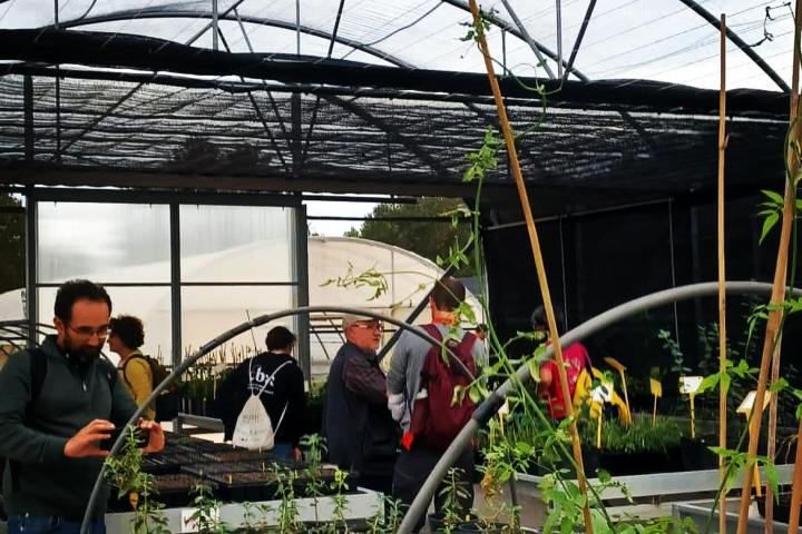 Mediterranean Species Farm Tour