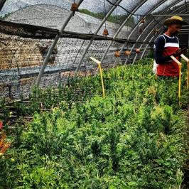 Mediterranean Species Farm Tour