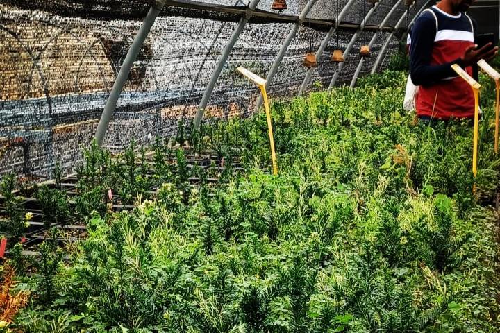 Mediterranean Species Farm Tour