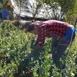 Mediterranean Species Farm Tour