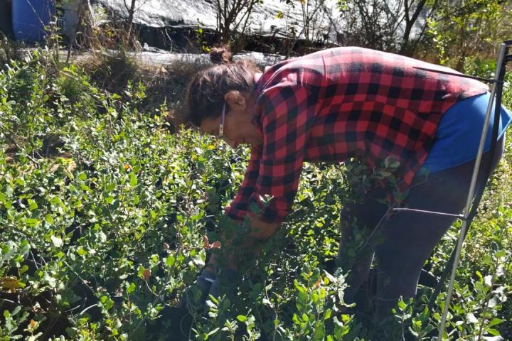 Mediterranean Species Farm Tour