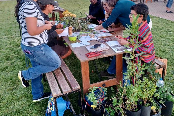 Mediterranean Species Farm Tour