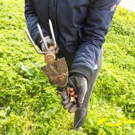 Mediterranean Species Farm Tour