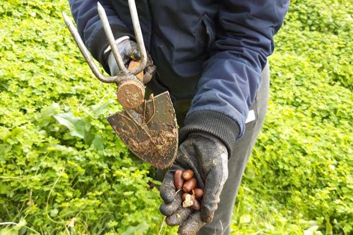 Mediterranean Species Farm Tour