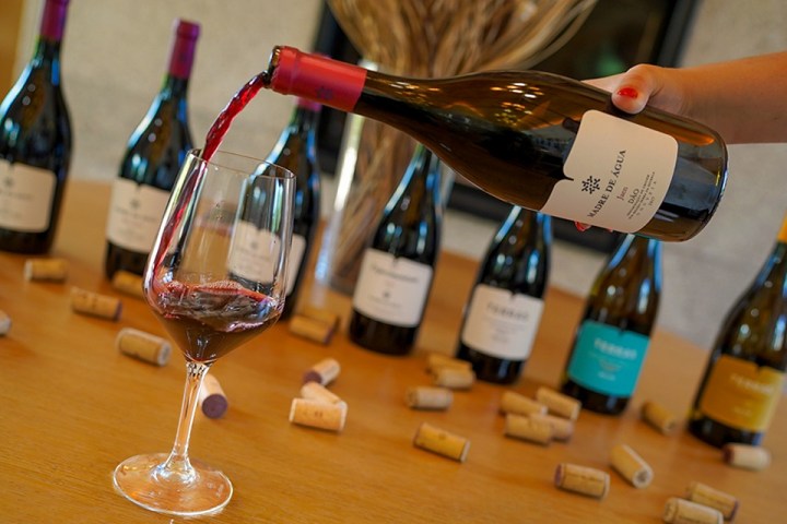 serra da estrela cheese and wine tasting