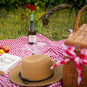 serra da estrela cheese and wine tasting