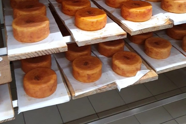 serra da estrela cheese and wine tasting