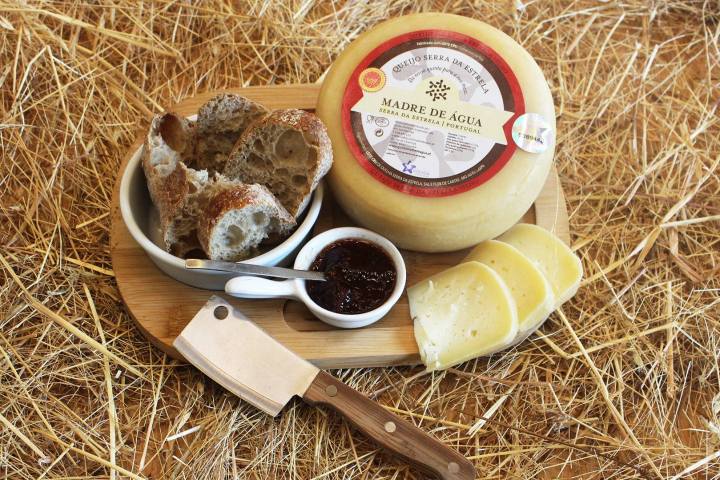 serra da estrela cheese and wine tasting