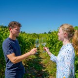 serra da estrela cheese and wine tasting