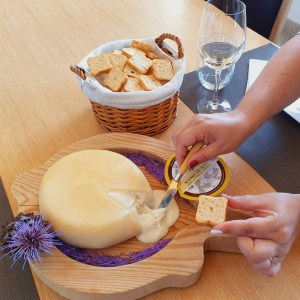 serra da estrela cheese and wine tasting