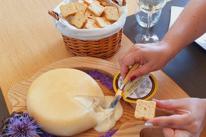 serra da estrela cheese and wine tasting