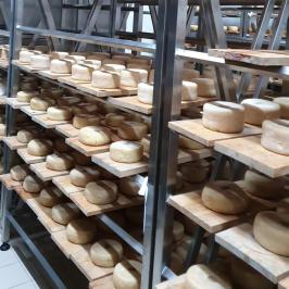 serra da estrela cheese and wine tasting