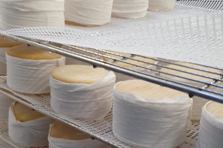 serra da estrela cheese and wine tasting