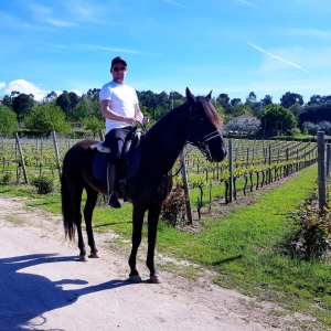 Serra da Estrela Vineyard Horseback Riding