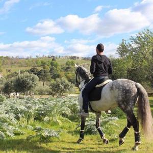Serra da Estrela Vineyard Horseback Riding