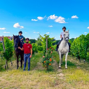 Serra da Estrela Vineyard Horseback Riding