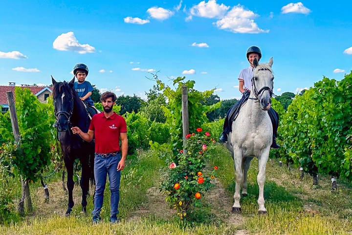 Serra da Estrela Vineyard Horseback Riding