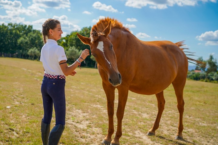 Serra da Estrela Vineyard Horseback Riding