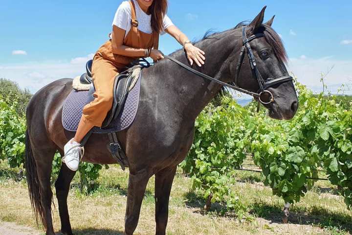 Serra da Estrela Vineyard Horseback Riding