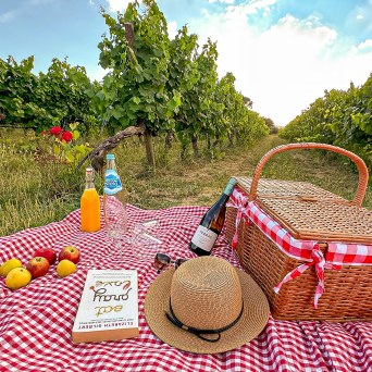 Serra da Estrela Picnic Experience