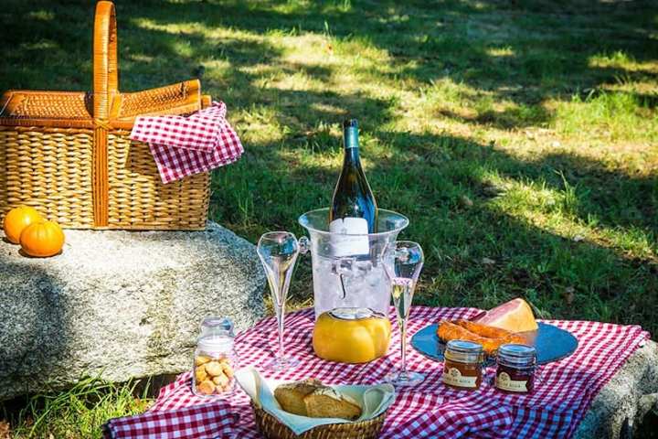 Serra da Estrela Picnic Experience