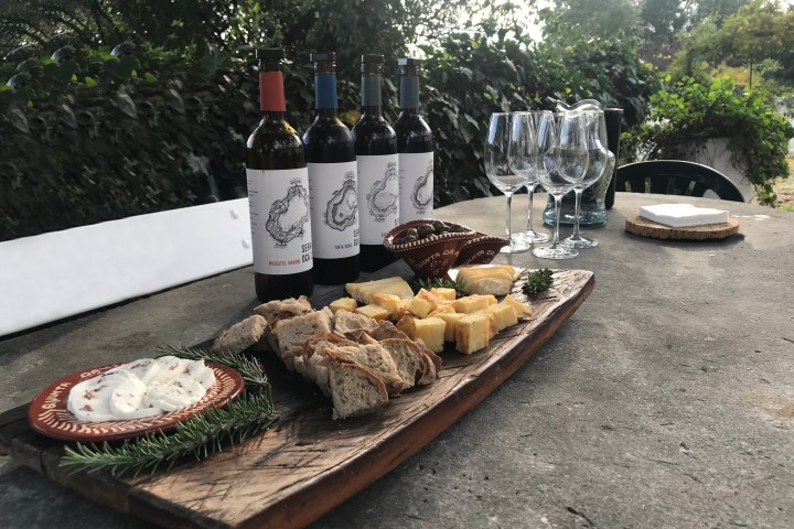 cadaval wine tasting