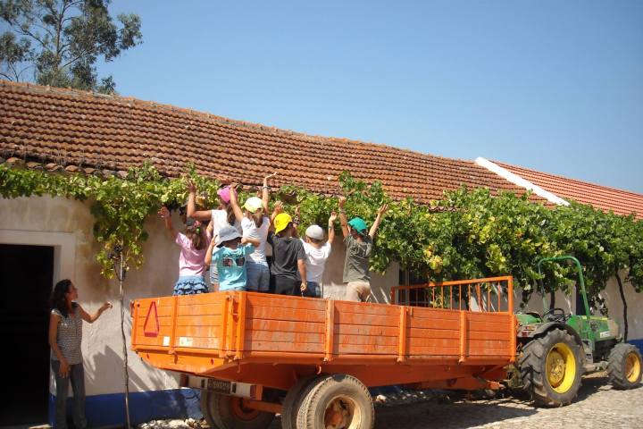 cadaval wine tasting