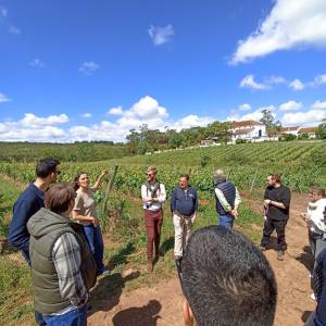 cadaval wine tasting