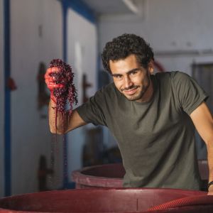 cadaval wine tasting