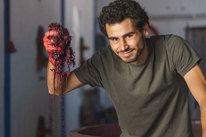 cadaval wine tasting