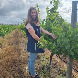 Grândola wine tasting