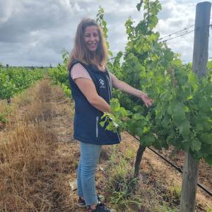 Grândola wine tasting