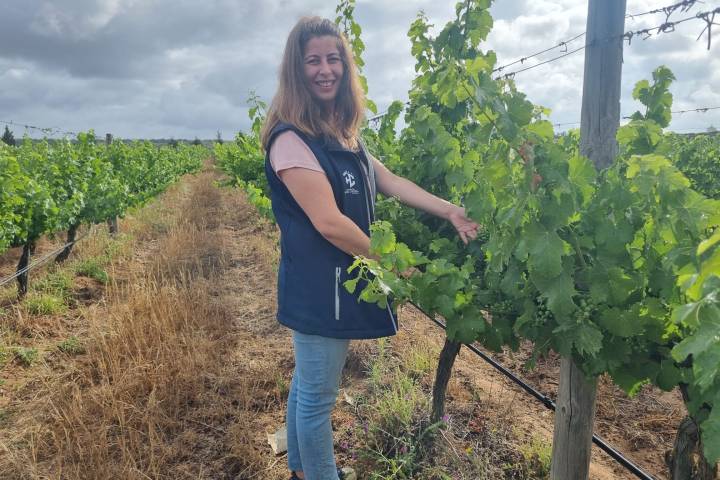 Grândola wine tasting