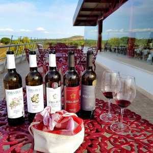 Grândola wine tasting