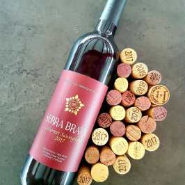 Grândola wine tasting