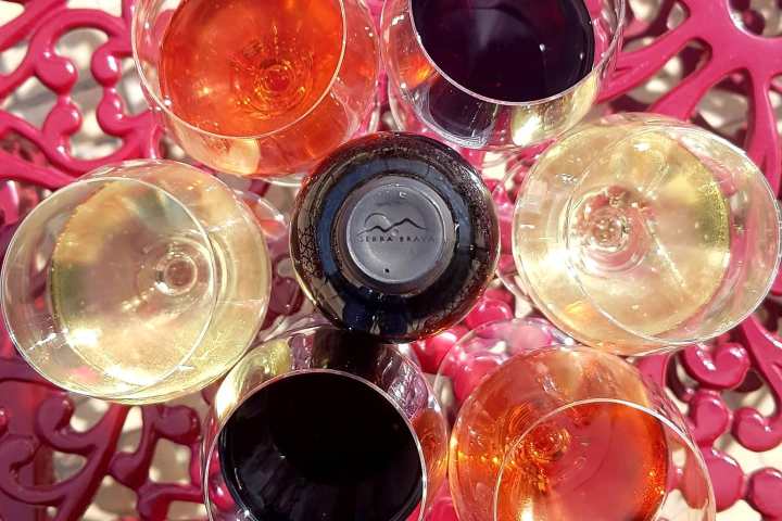 Grândola wine tasting