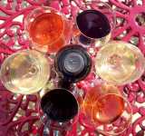 Grândola wine tasting