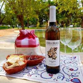 Grândola wine tasting