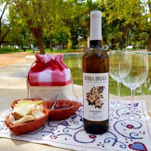 Grândola wine tasting