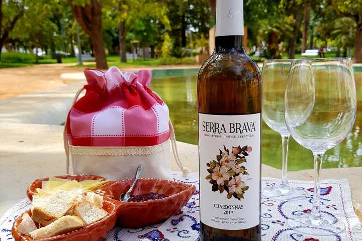 Grândola wine tasting