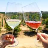 Grândola wine tasting