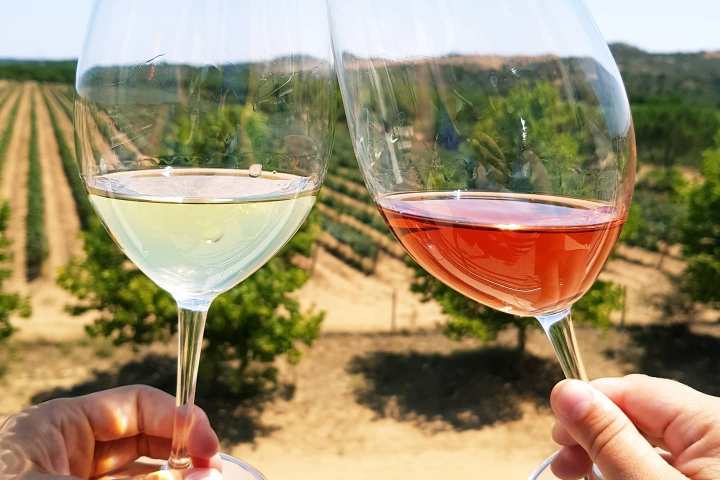 Grândola wine tasting