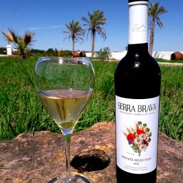 Grândola wine tasting