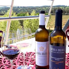 Grândola wine tasting