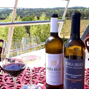 Grândola wine tasting